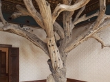 Ai_Weiwei5