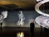 Wyn_Evans_Cerith