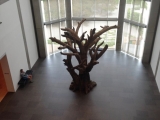 Ai_Weiwei6