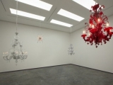 Wyn_Evans_Cerith